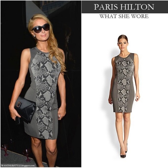 Diane Von Furstenberg Franca Gray Bodycon Snake Print Dress Sz S Mobwifecore - Picture 1 of 1